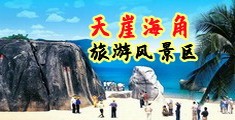 看日逼免费视频海南三亚-天崖海角旅游风景区