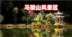大鸡巴操我啊啊啊视频在线播放